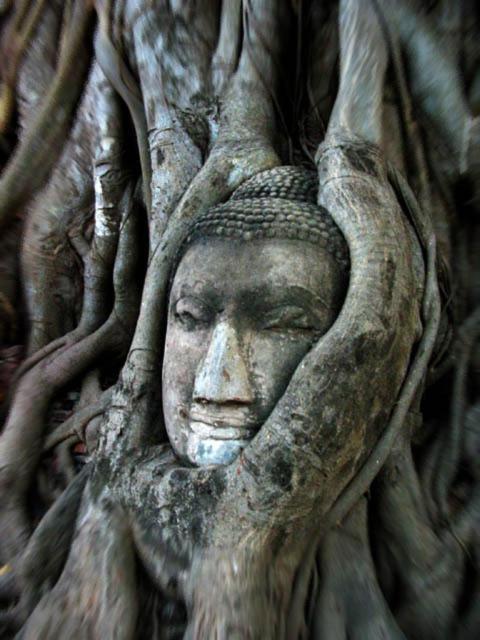 Somjai Place Ayutthaya Εξωτερικό φωτογραφία